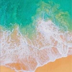 Meet your Posher, Mitchel